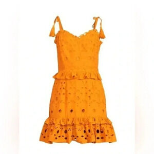 Walter Baker Misty Eyelet Ruffle Mini Dress in Mustard Yellow Size 10 B1143